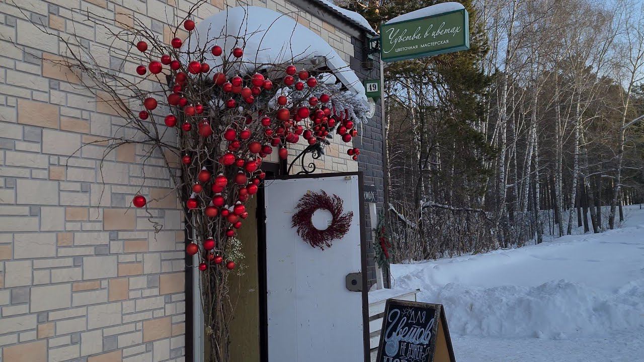 Сибирские просторы. Прощай Северск. Я уезжаю.