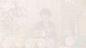 Делим и пересаживаем фиалку  в почвобрикет. Когда можно пересаживать комнатные цветы.