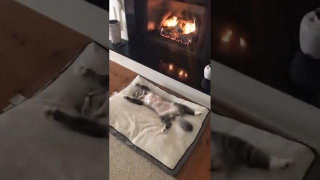 Идеально. ❤️