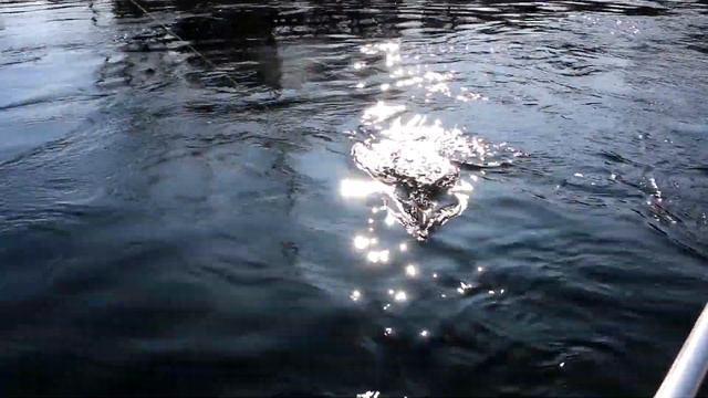 Урми - осенний заезд 2019... смотреть онлайн