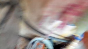 Пирожок в микроволновке.