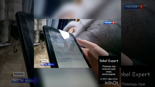 Проблемы с чипированными шубами смотреть онлайн