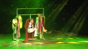 Шоу балет Аллы Духовой ТОДЕС