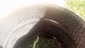Компостная яма из старых покрышек.Быстро,просто и дешево!