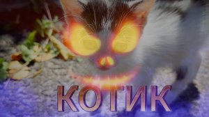 Котик во дворе / #video #live #супер #котик