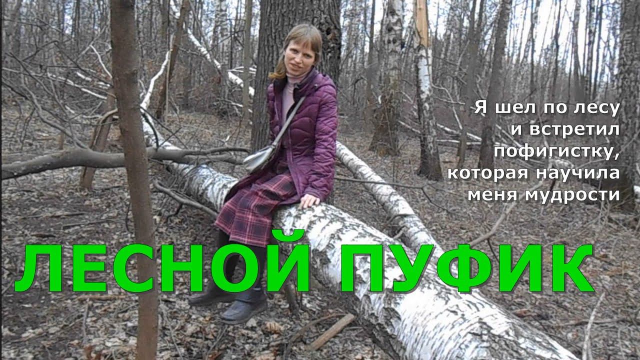 Лесной пуфик.