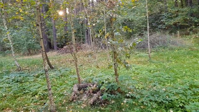 Как пишут ОФИЦИАЛЬНУЮ историю! смотреть онлайн