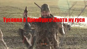 #shorts Охота на гуся в Оренбурге 2021 | Тизер к фильму | охотактив весенняя охота 2021