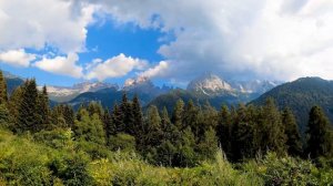 Пение птиц в горах для релаксации. Птичьи голоса для сна