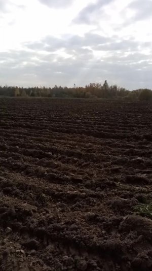 2021 Октябрь. Завершение полевого сезона. Уходим в зиму.