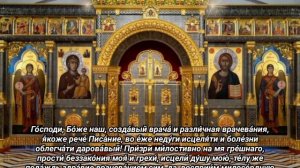 КОРОТКАЯ МОЛИТВА ПЕРЕД ПРИНЯТИЕМ ЛЕКАРСТВ И ИНАГО ВРАЧЕВАНИЯ #Молитвазаздравие #СвятойЗакон #Молитв