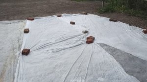 Красивый газон своими руками.