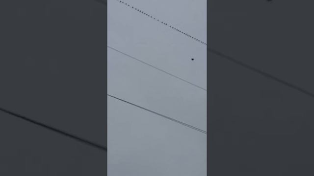 Украина . Скворцы совещаются как лететь на Юг)))). смотреть онлайн