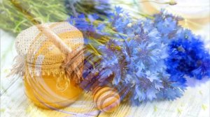 Васильковый мёд
