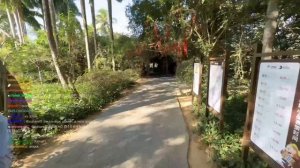 IRL СТРИМ ЗУБАРЕВА ПО ОСТРОВУ ОБЕЗЬЯН В САНЬЕ! #zubarefff #зубарев #китай