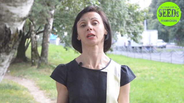 Газоны для дачи смотреть онлайн