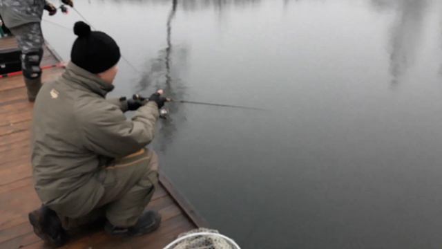 Диалоги о рыбалке. смотреть онлайн