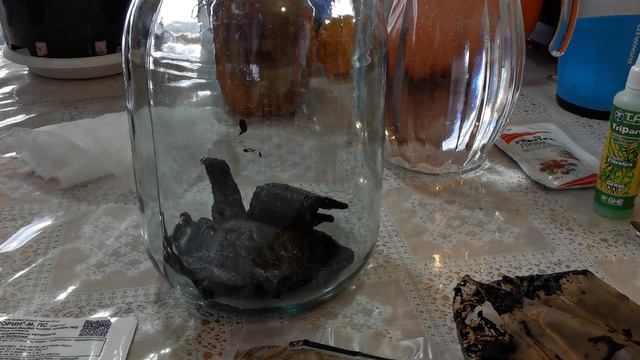 Фитоспорин надо разбудить. смотреть онлайн