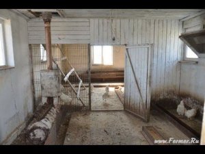 Фермерское хозяйство Терешата. Птицеводство.