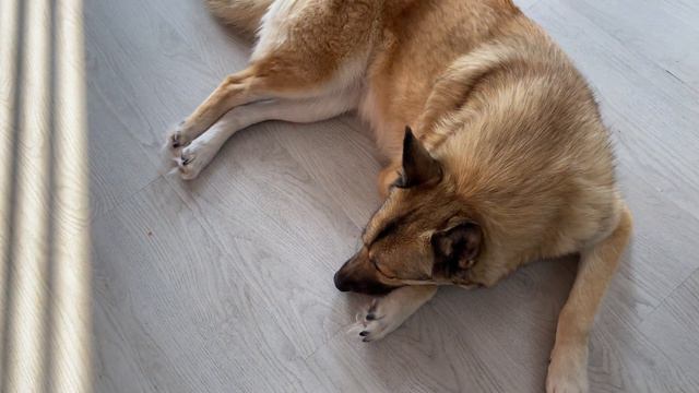 Не хочу лечиться. смотреть онлайн