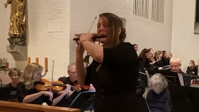 Antonio Vivaldi - Op. 44, Nr. 11, RV443 Largo - Piccolo Flute with strings смотреть онлайн