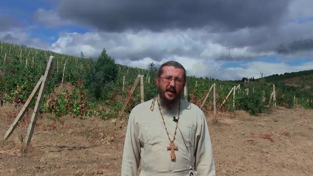 Можно ли носить печатку с иконой. Священник Игорь Сильченков. смотреть онлайн