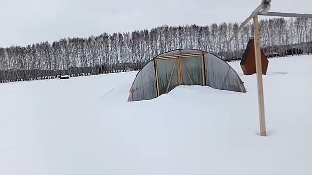 Рассадник и теплица клубники в марте, г. Омск Ферма "Омская Ягода" смотреть онлайн