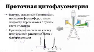 Разбор заданий по биохимии и цитологии из биологических олимпиад / Регион ВСОШ 2023, Физтех, Всесиб