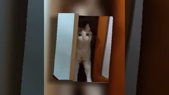 парам-парам-пам всё смотреть онлайн