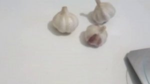 Посадка чеснока на зиму. какой сорт выбрать?