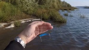 Стригино, конец сентября 2022