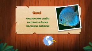 Смотрим мультфильмы NATOONS и продолжаем собирать коллекцию Natoons в Kinder Сюрприз