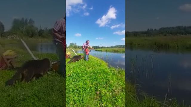 Детская рыбалка в Усадьбе Хотило