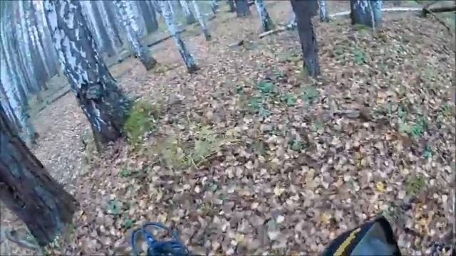 Копаем металлалом возле полей. День лемеха.