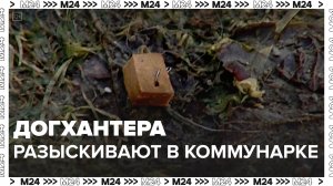 Догхантера нашли в Коммунарке — Москва24|Контент