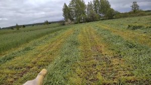 Косилка с плющилкой: плюсы и минус