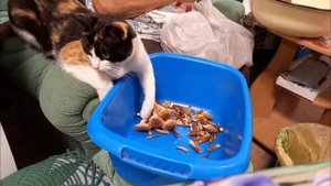 ОПЯТА ....МАРИНУЕМ  !!!   8 сентября 2022 г.