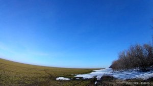 Отстрел серых ворон. Фрагмент.