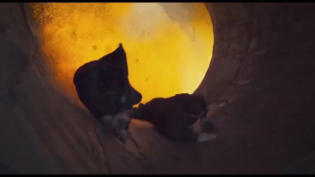 Кино 2024: 10 фильмов ЯНВАРЯ, которые уже вышли в кино и доступны для просмотра прямо сейчас! смотреть онлайн