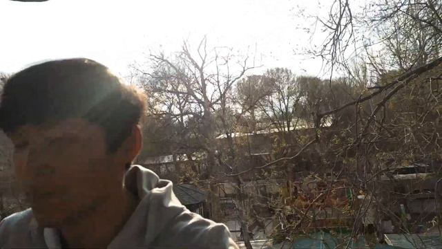 НАМАНГАН ВИЛОЯТИ ЧУСТ ТУМАН ИТИРОХАТ БОГИ КАРАТИНГА ОЛИНДИ. смотреть онлайн