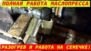 ПОЛНАЯ РАБОТА МАСЛОПРЕССА РАЗОГРЕВ И РАБОТА НА СЕМЕЧКИ!