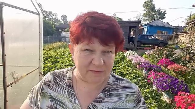 КАБАЧКИ в миг Пойдут в Рост ❗❗  Правильно ФОРМИРУЕМ КАБАЧКИ и Вносим Необходимые УДОБРЕНИЯ ??