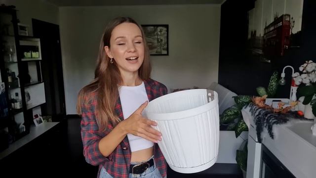 ?Крутые находки WILDBERRIES на осень: одежда, бижутерия, покупки для дома смотреть онлайн