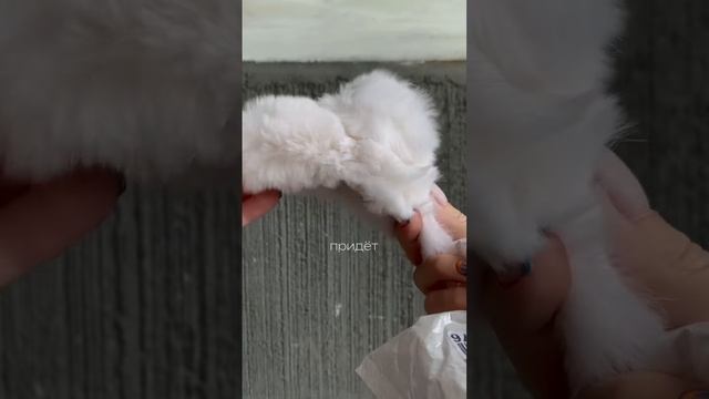 Классная заколка для волос #haircare #hairhacks #hairtutorial #fypシ #hair смотреть онлайн