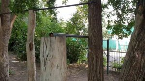 Казахстан, Карагандинская область, посёлок Доскей (бывшее Победа) 15 августа 2021 год