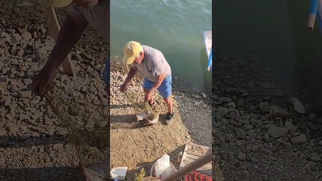 Абрау-Дюрсо озеро, встретили рыбока с рыбой. смотреть онлайн