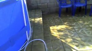 Бассейн во дворе дома