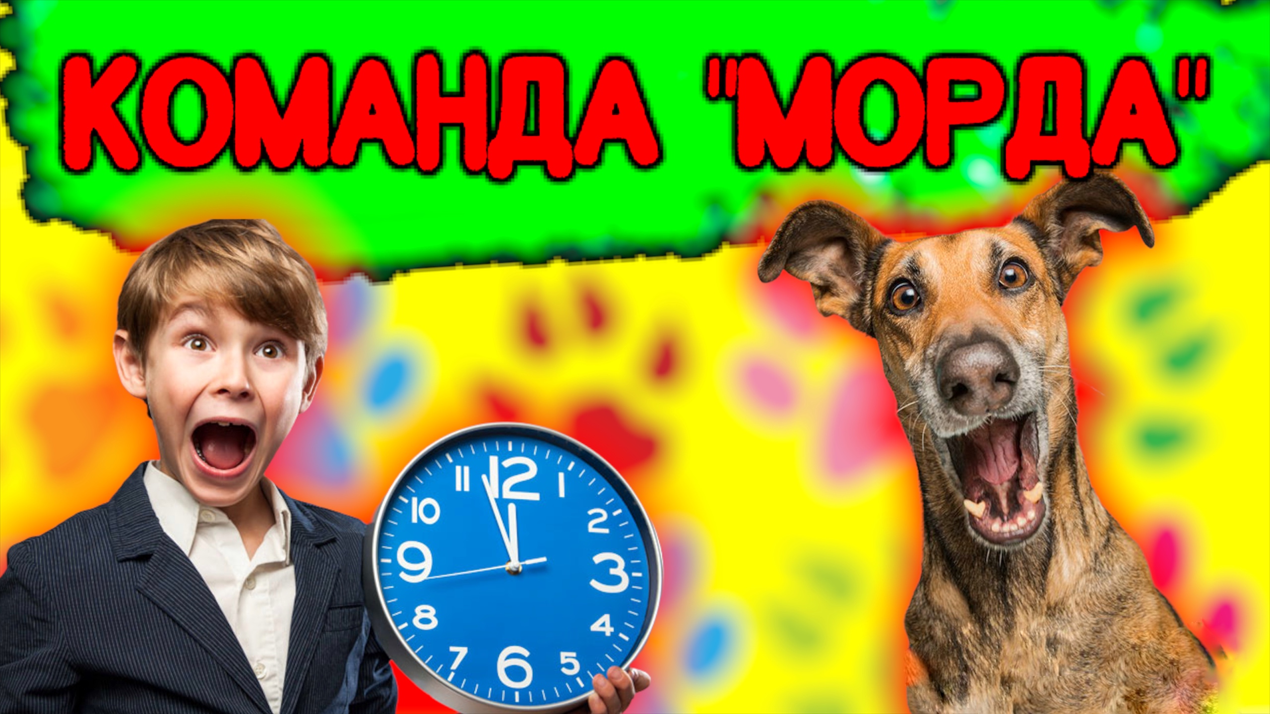 Как научить собаку команде «Морда» смотреть онлайн