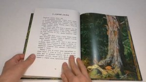 Детская книга "Год в лесу" Соколов - Микитов. Издательство Речь.