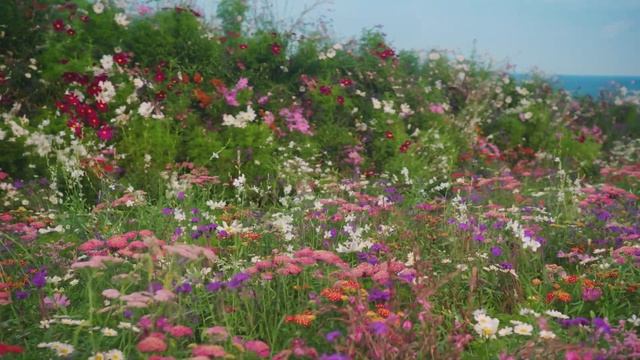 Peter Philips Makeup Talk - Dior Men Summer 2023 смотреть онлайн